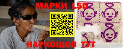 винт Донецк