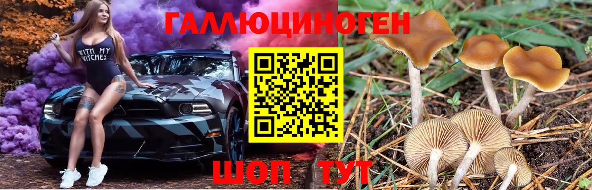 Галлюциногенные грибы Magic Shrooms Карабулак