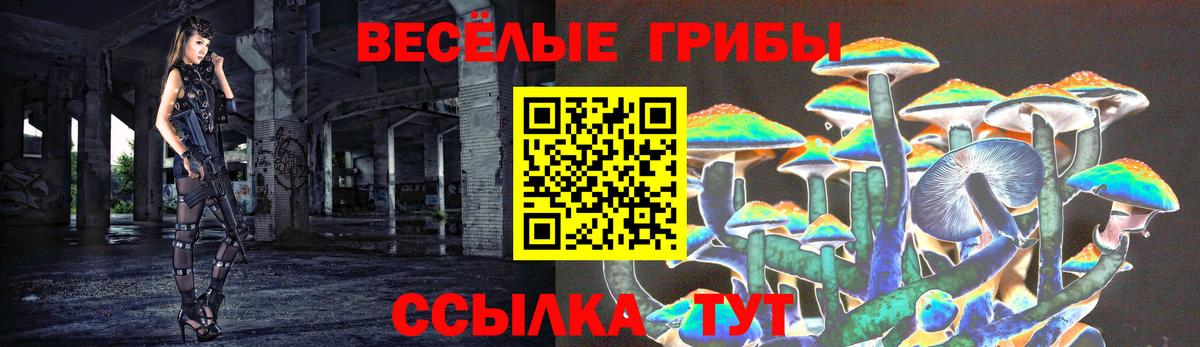 Карабулак  купить  цена  Псилоцибиновые грибы Magic Shrooms  Вход с VPN  Галлюциногенные грибы прущие грибы 